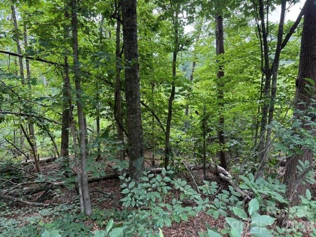 00 Chisholm Trail Property Photo 11