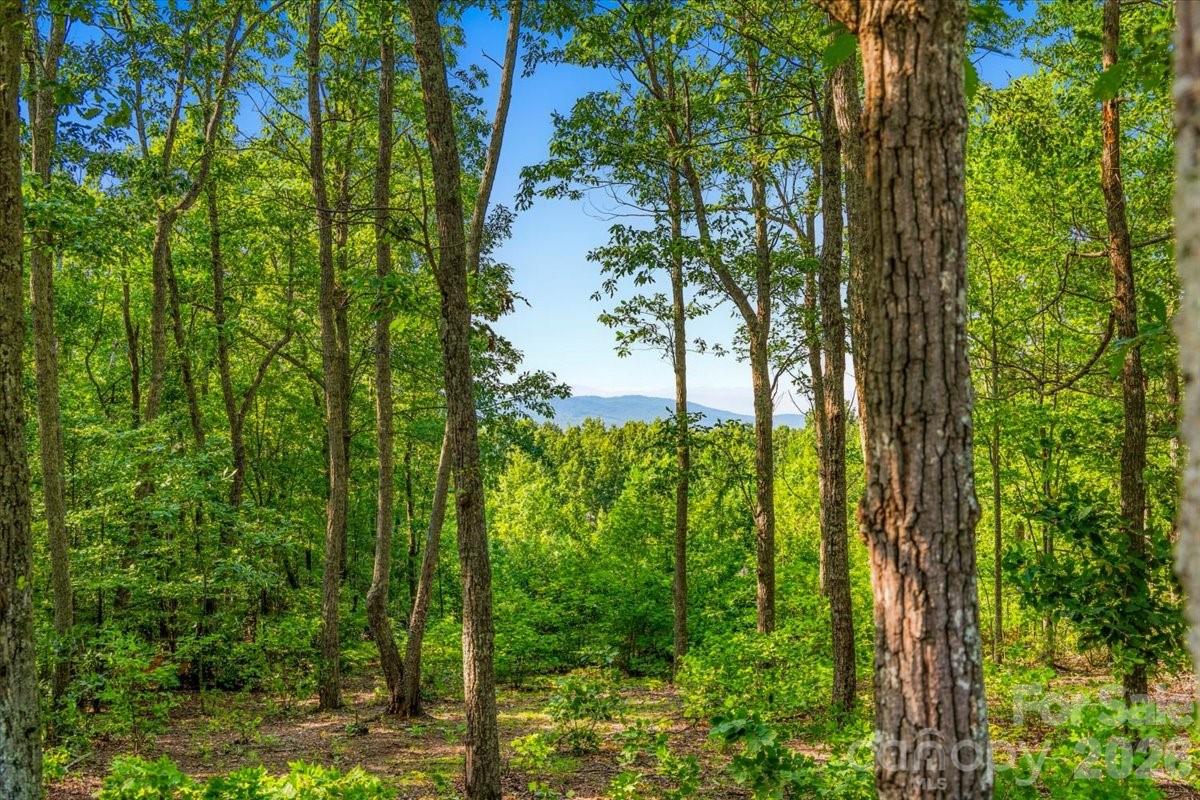 207 Mossy Oak Trail 166 Property Photo 6