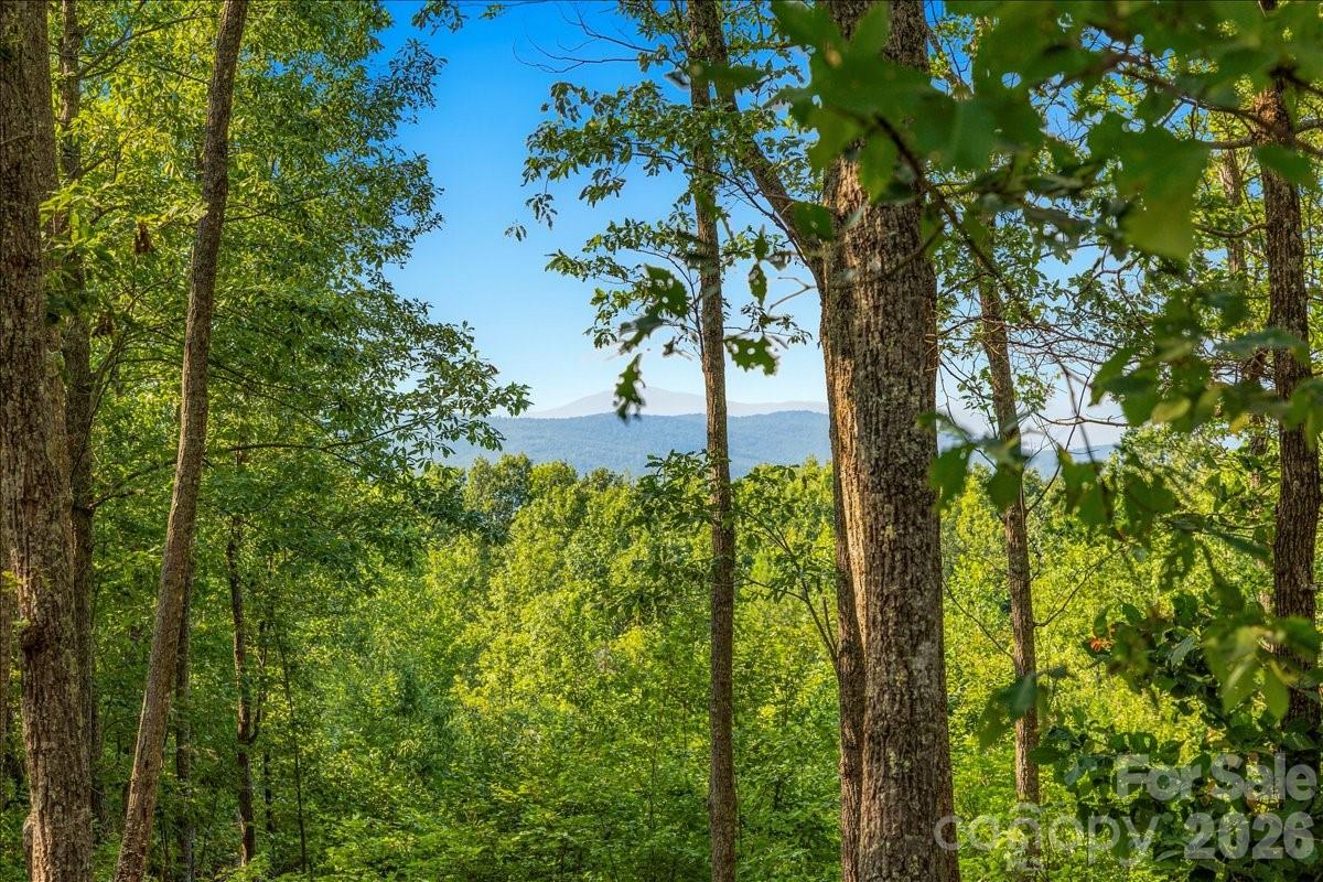 207 Mossy Oak Trail 166 Property Photo 7