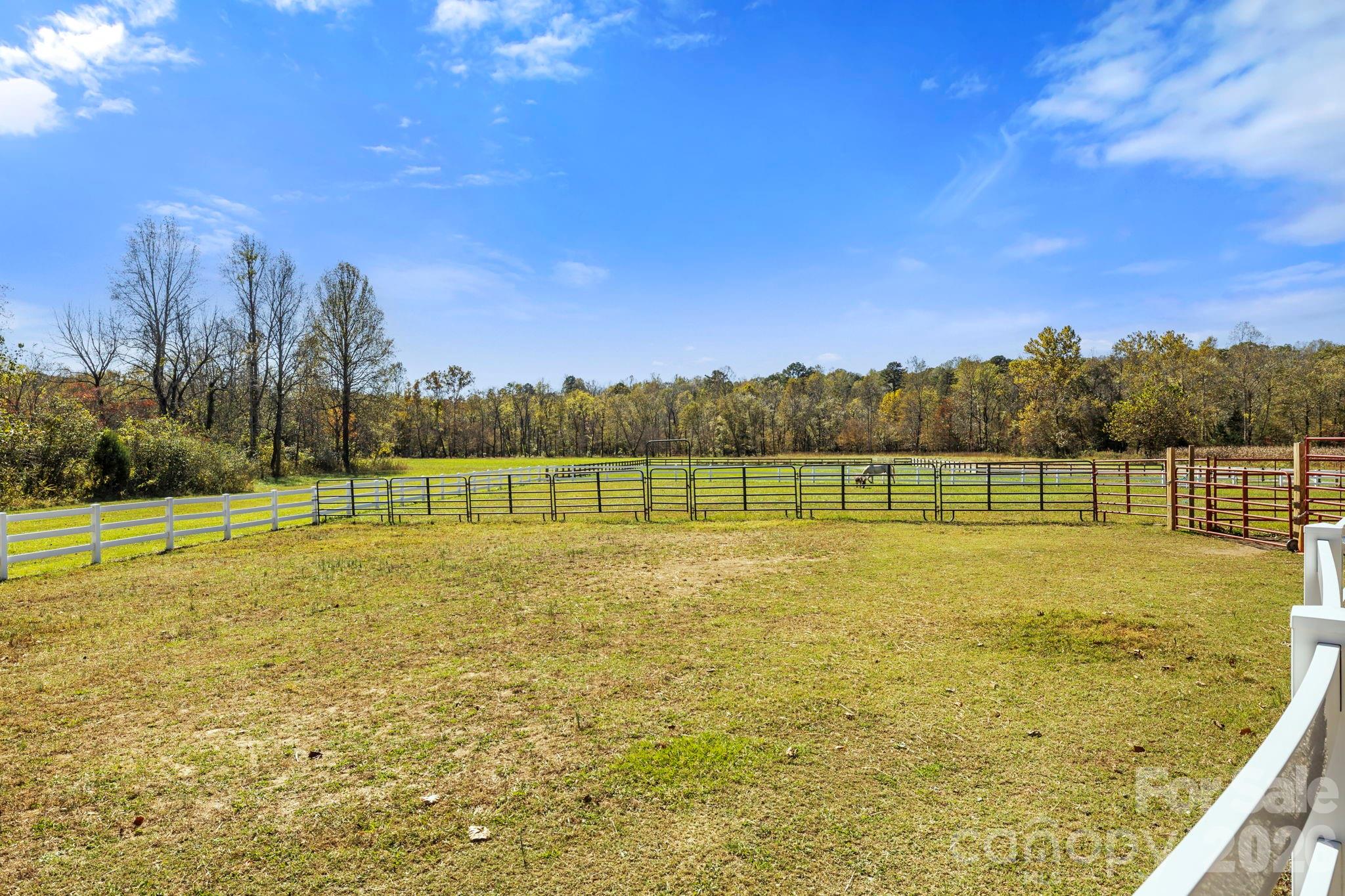 225 Burnt Meadow Lane 169 Property Photo 33