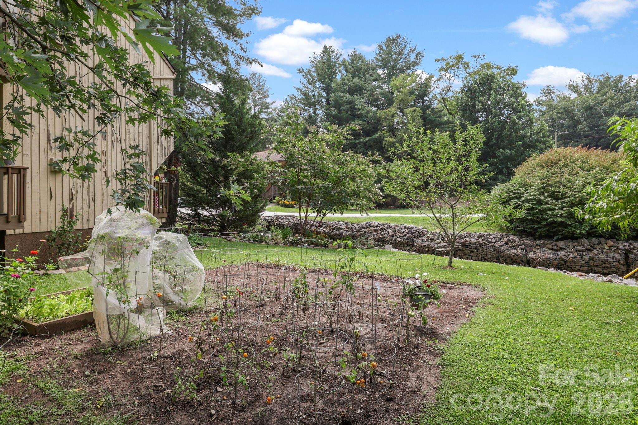 304 Birch Forest Lane Property Photo 33