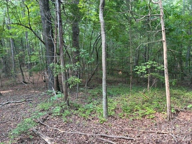 4501 Highway 5 Highway Property Photo 21