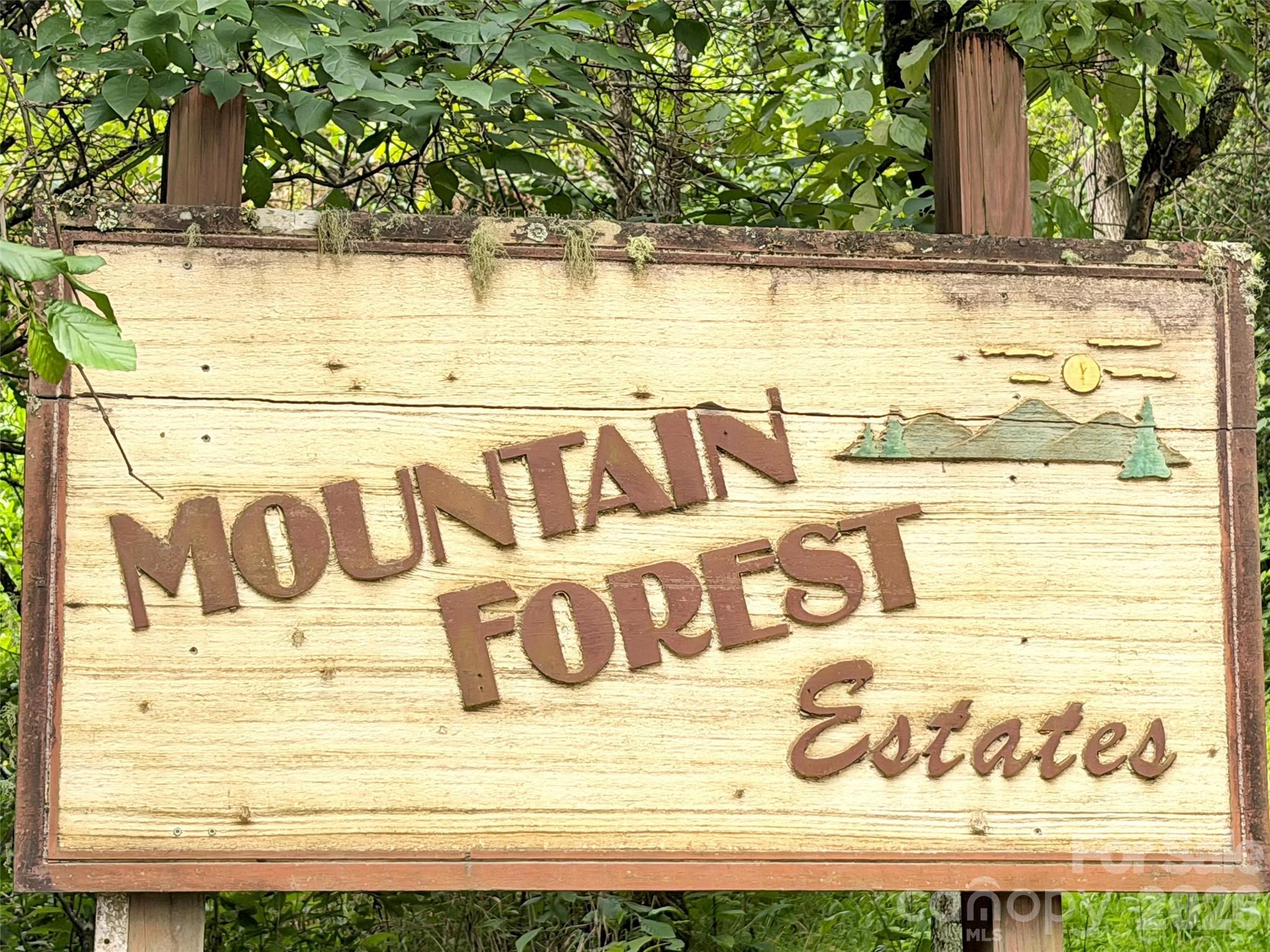 477 Mountain Forest Estate Property Photo 2