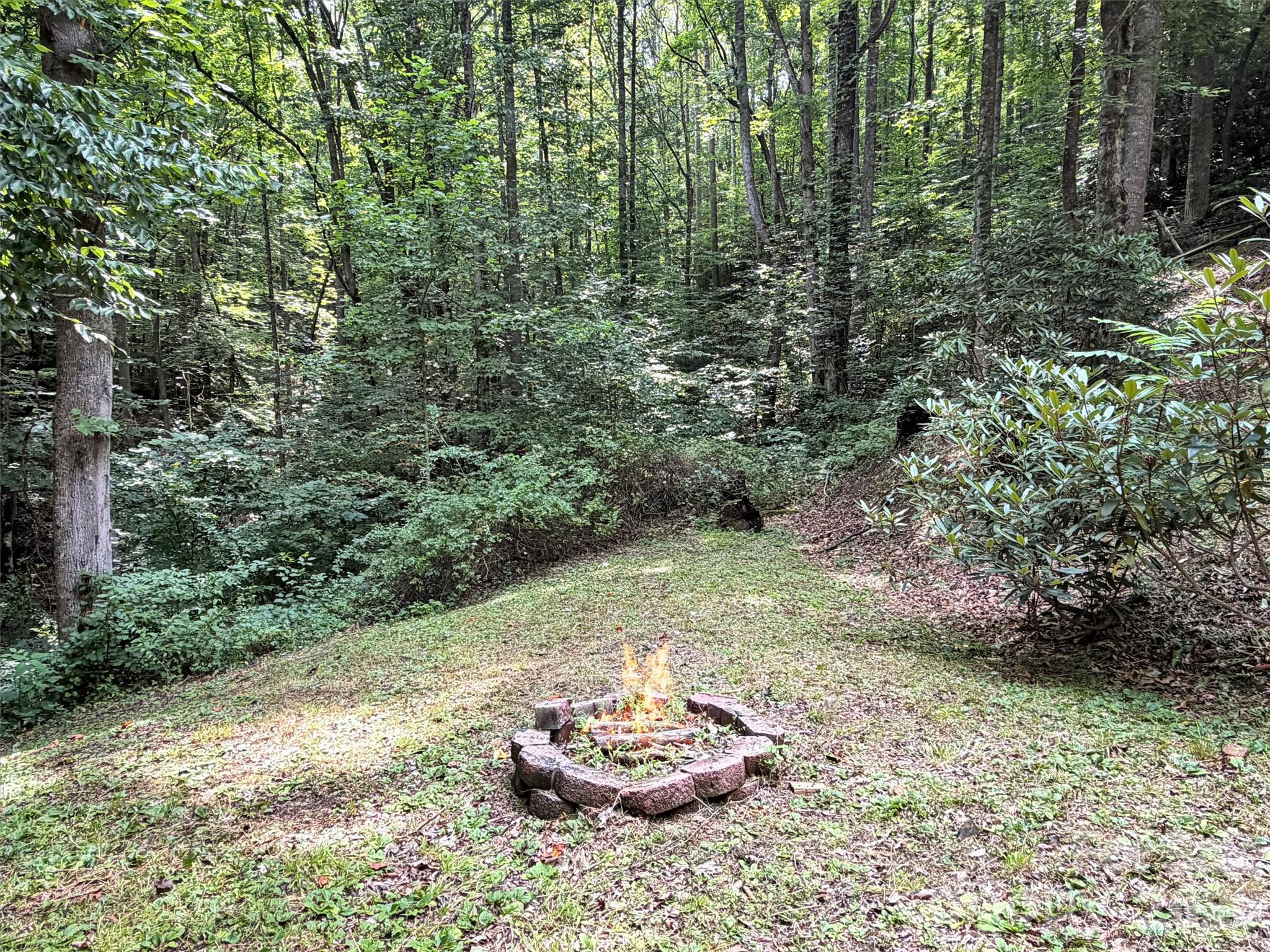477 Mountain Forest Estate Property Photo 18