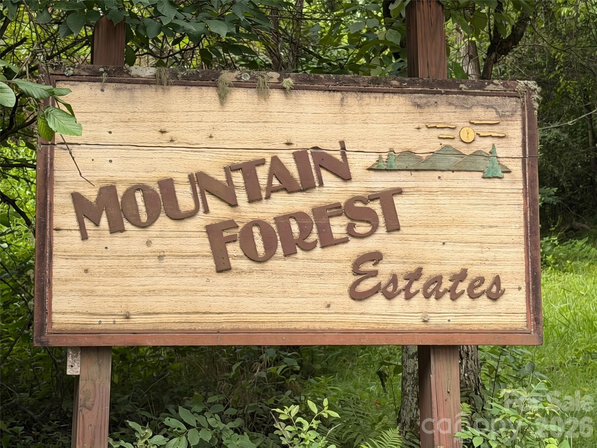 475 Mountain Forest Estate Property Photo 2