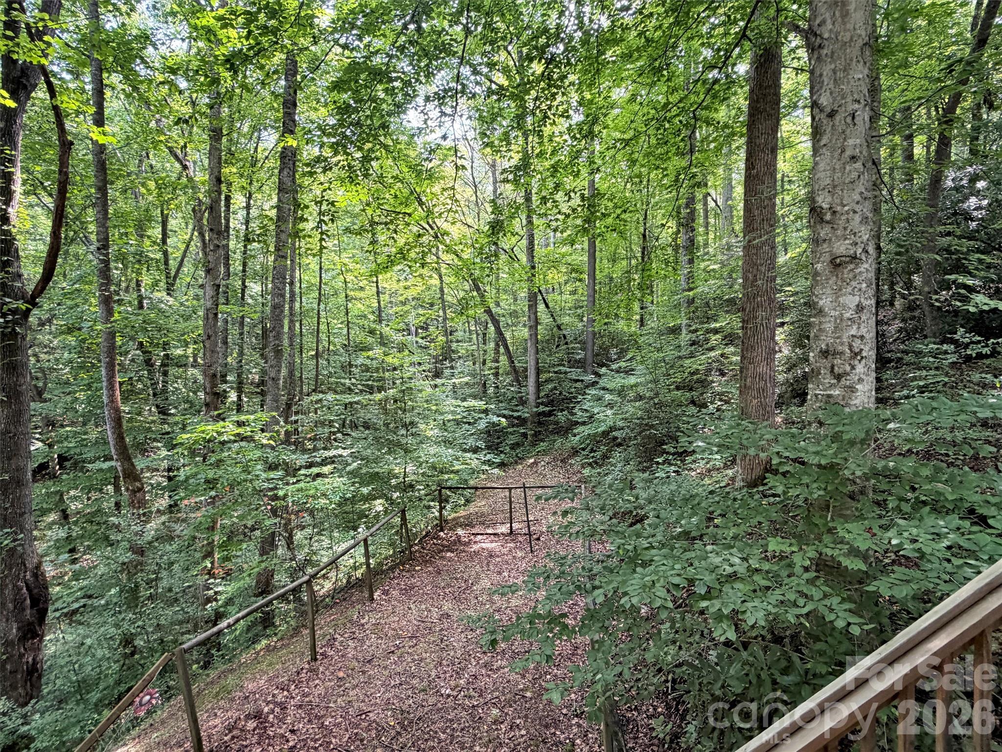 475 Mountain Forest Estate Property Photo 16