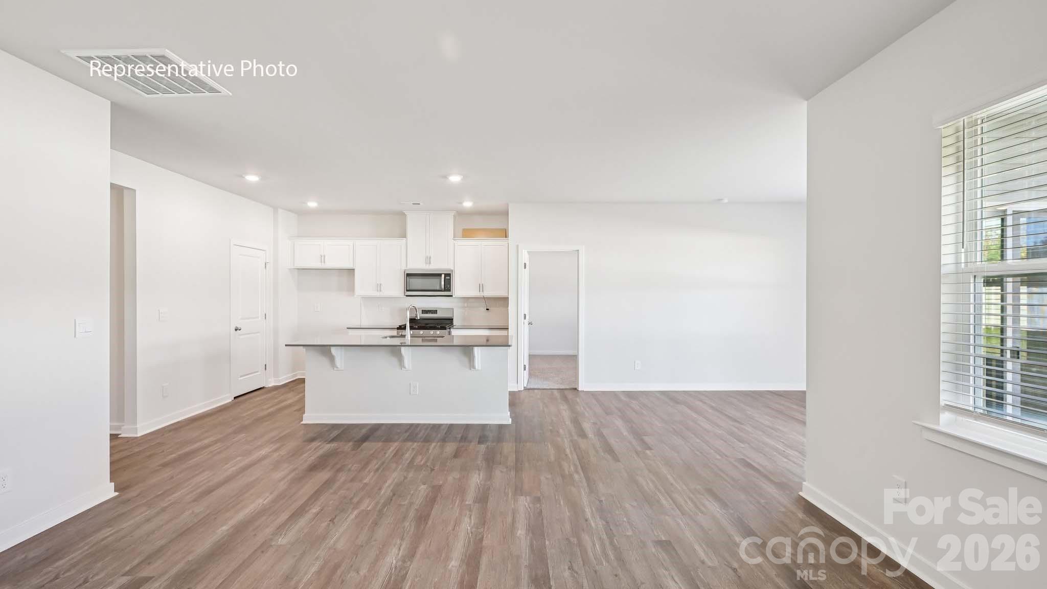 338 Frozen Dream Drive Property Photo 3