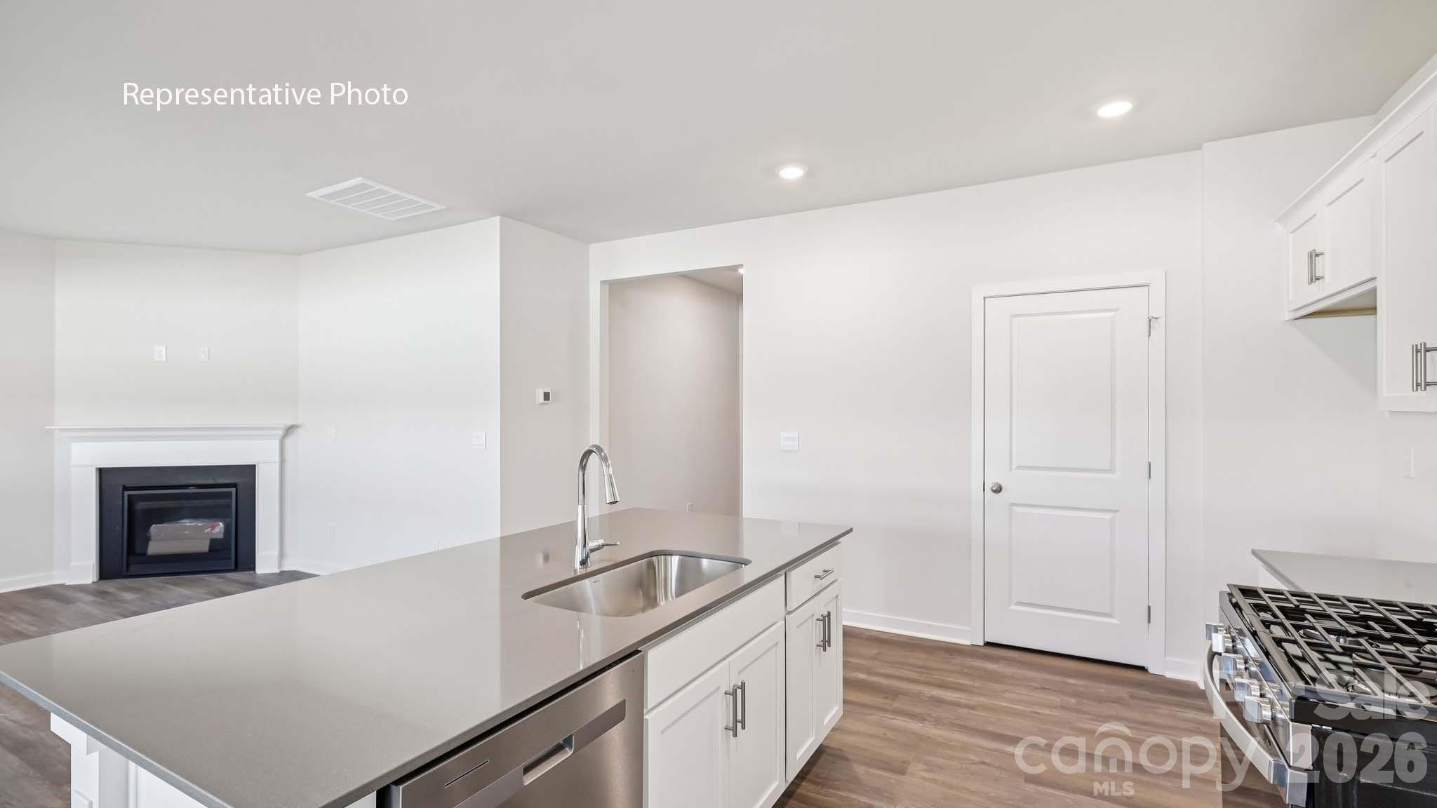338 Frozen Dream Drive Property Photo 8