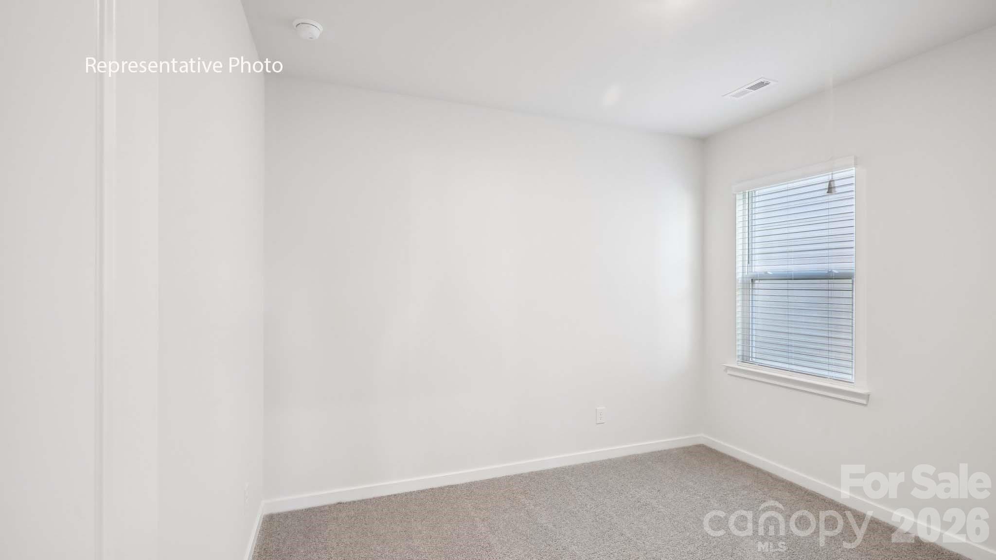 338 Frozen Dream Drive Property Photo 12