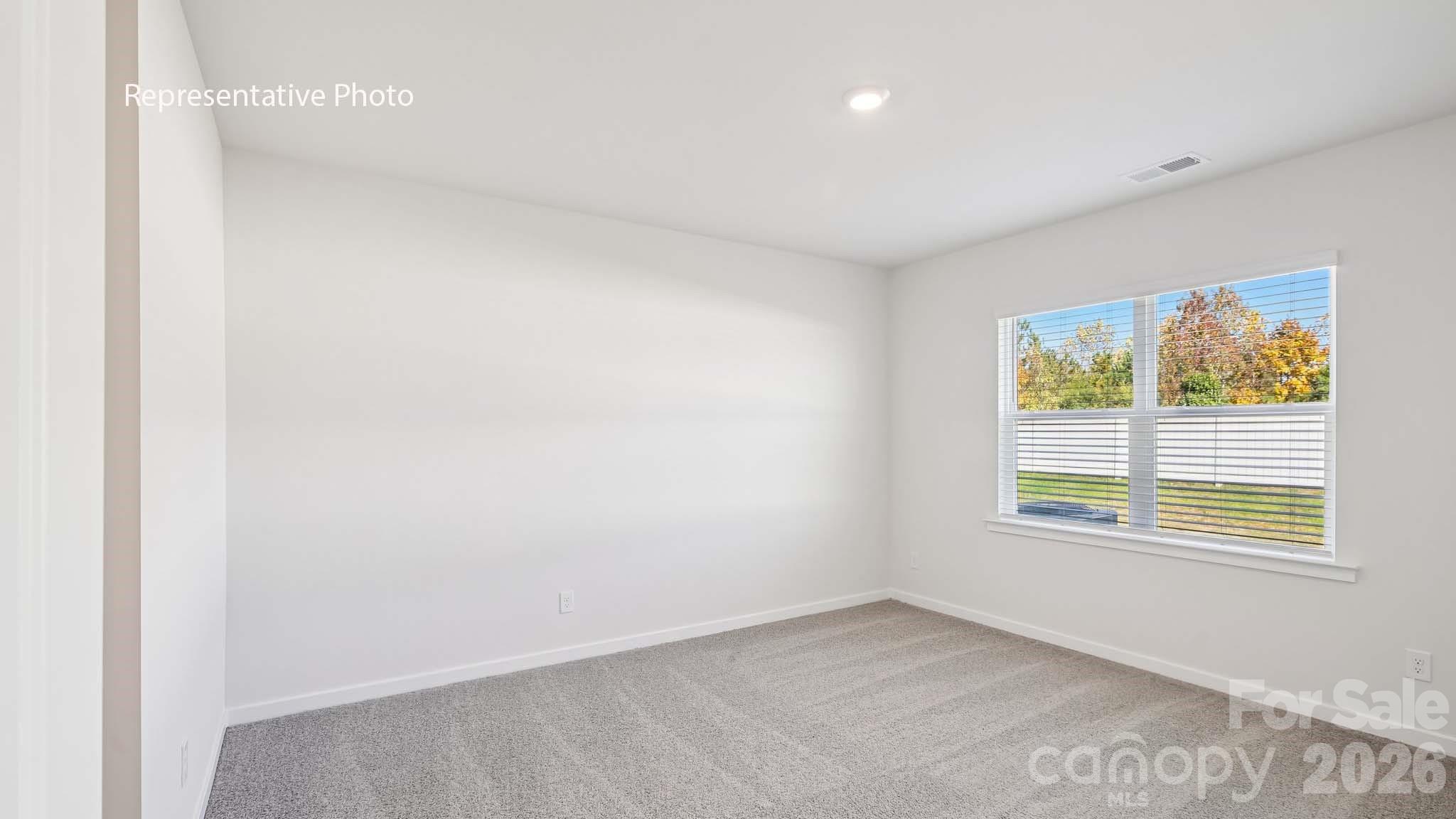 338 Frozen Dream Drive Property Photo 15
