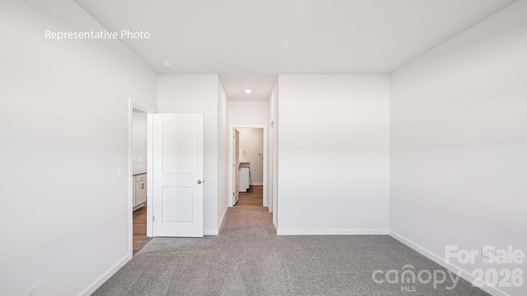 338 Frozen Dream Drive Property Photo 16