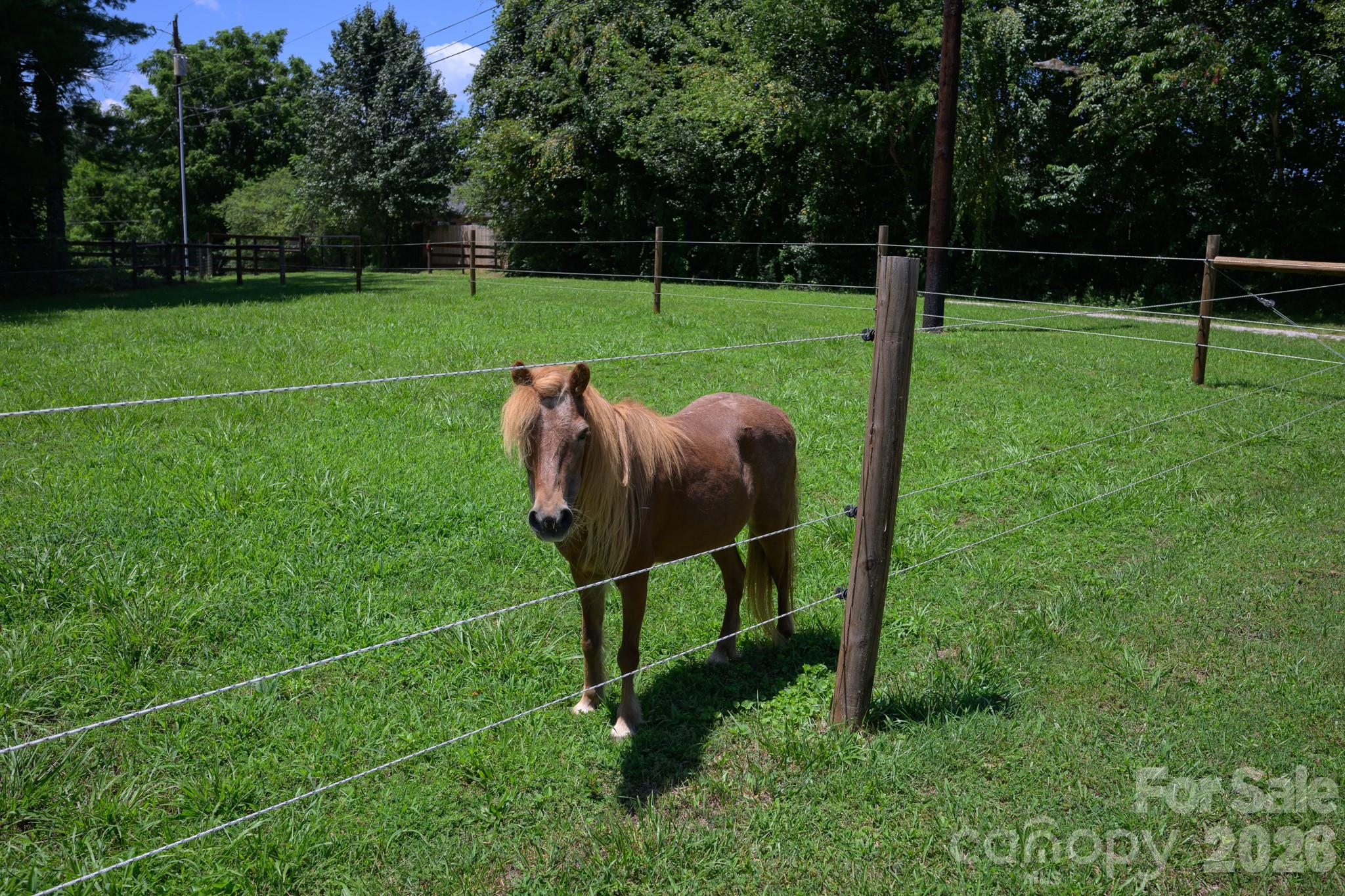 1151 Shady Lane Property Photo 17