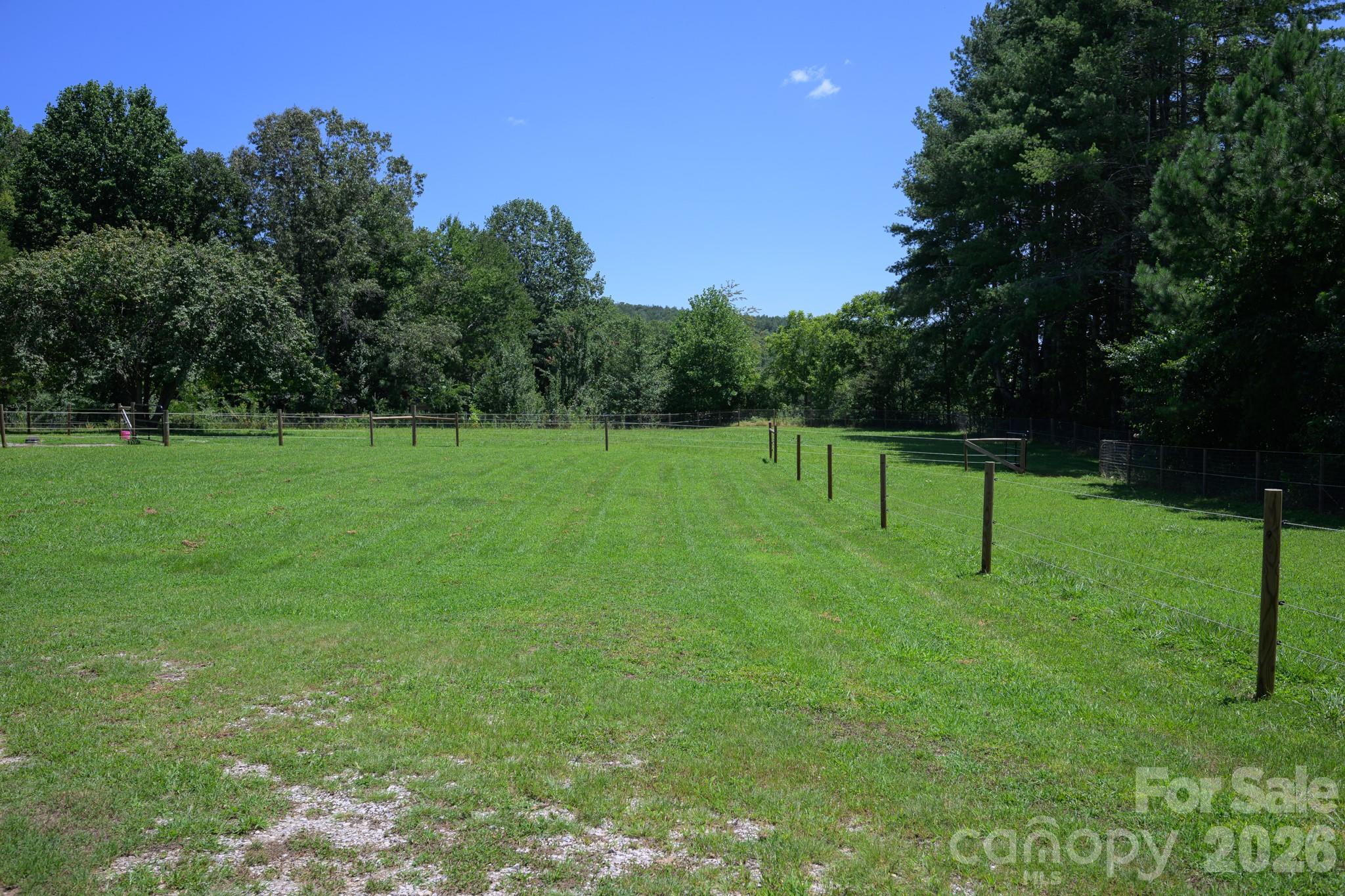 1151 Shady Lane Property Photo 18