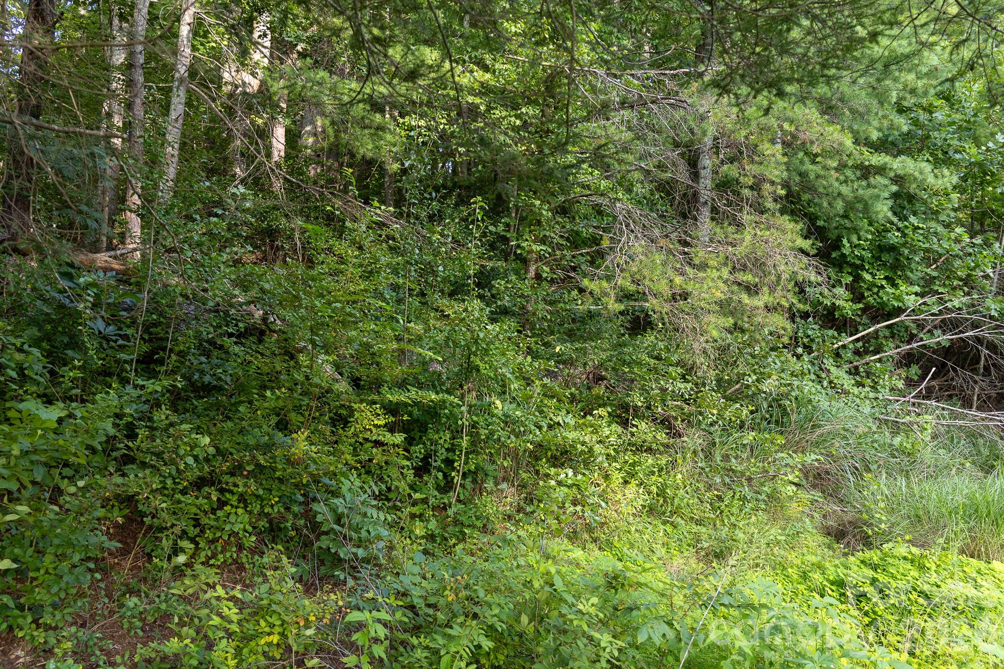 920 Mills Gap Road Property Photo 3