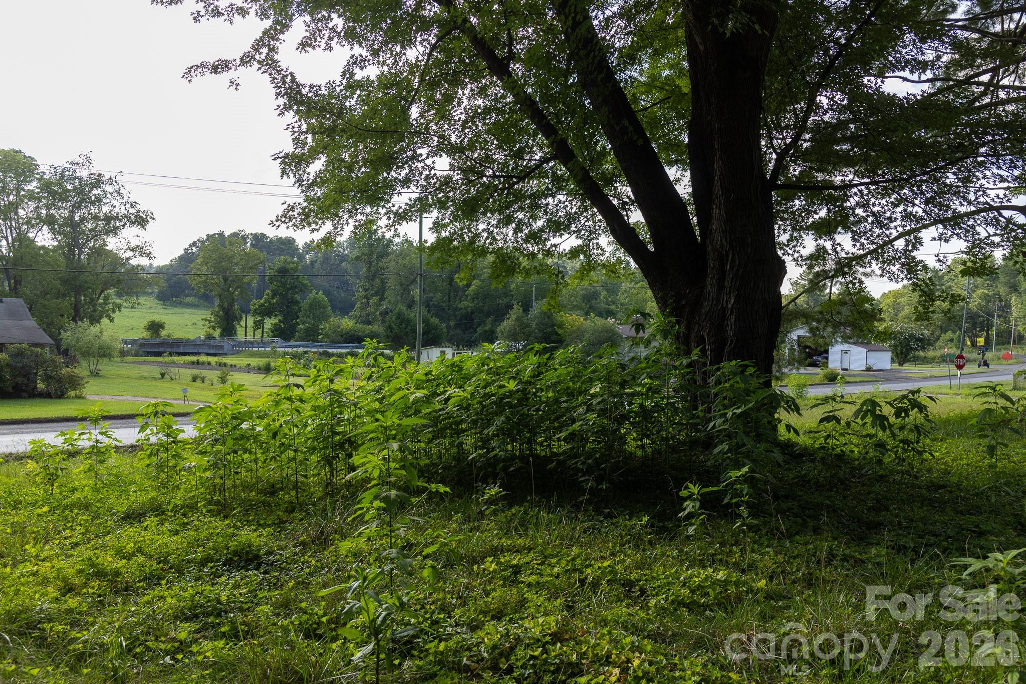 920 Mills Gap Road Property Photo 4