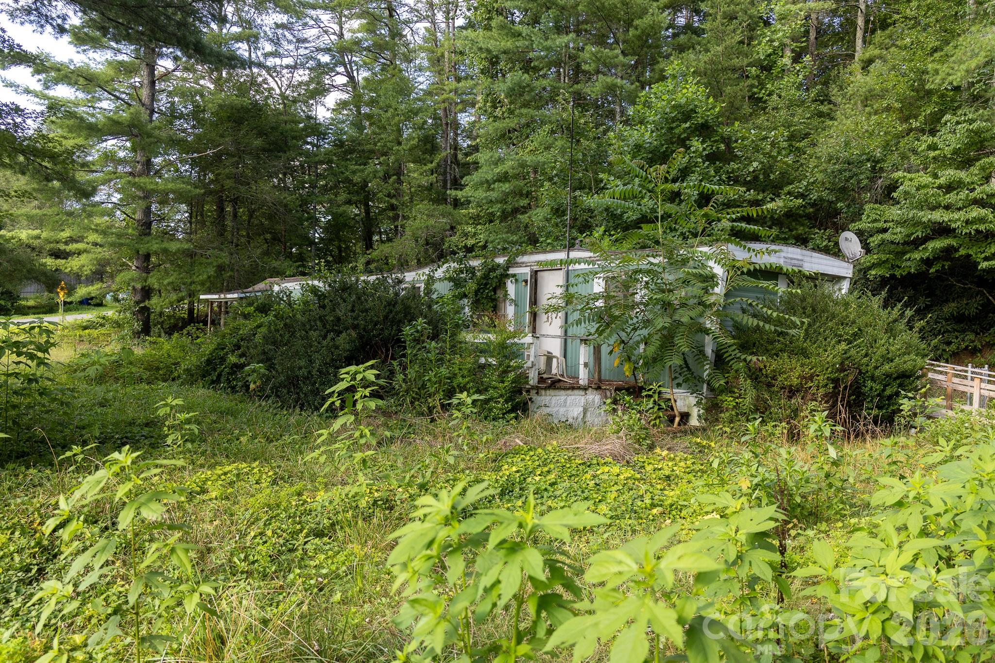 920 Mills Gap Road Property Photo 9