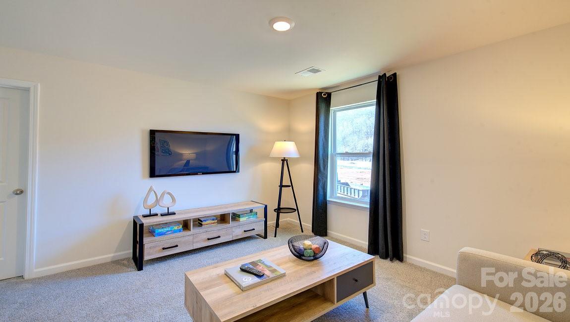 208 Hyder Ridge Road Property Photo 35