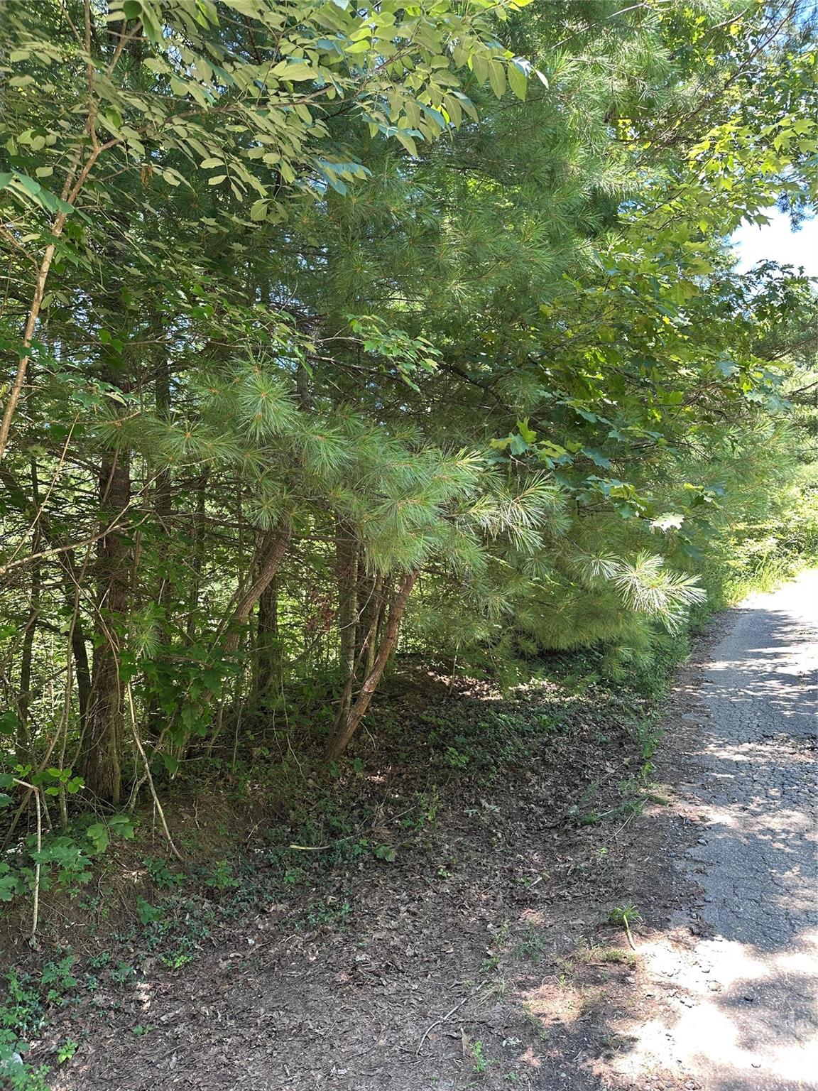3960 Winston Drive Property Photo 1