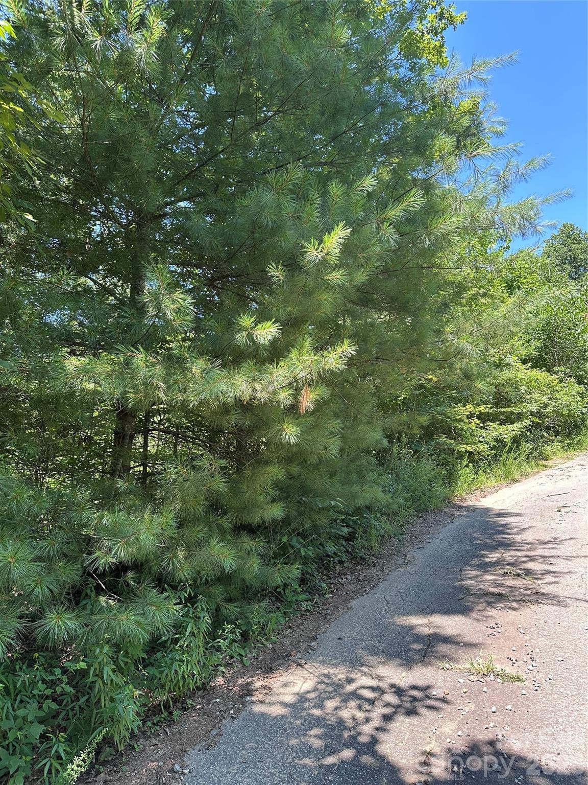 3960 Winston Drive Property Photo 2