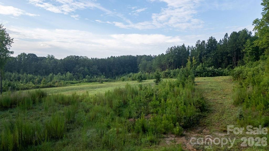 000 Hill Road Property Photo 3