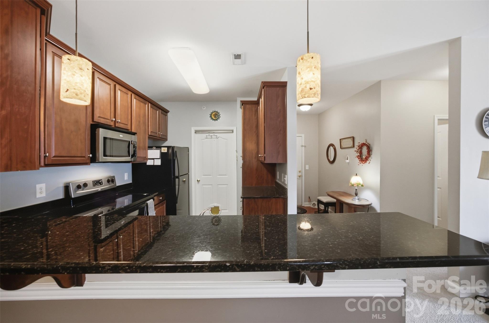 9113 Mcdowell Creek Court 9113 Property Photo 19