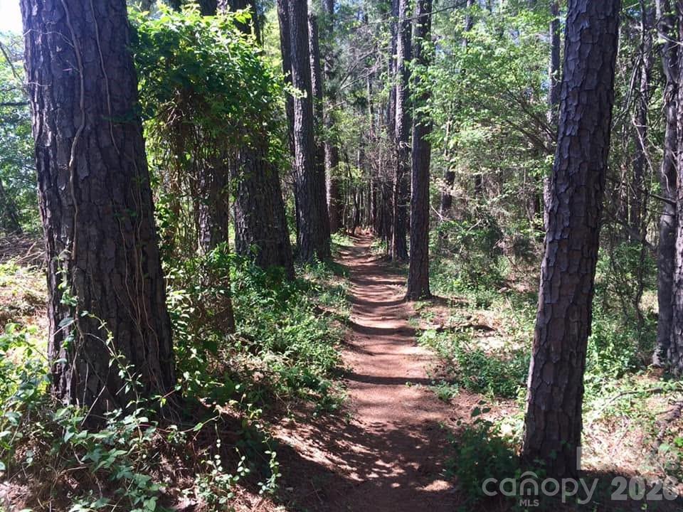 13520 Andulusian Drive Property Photo 36
