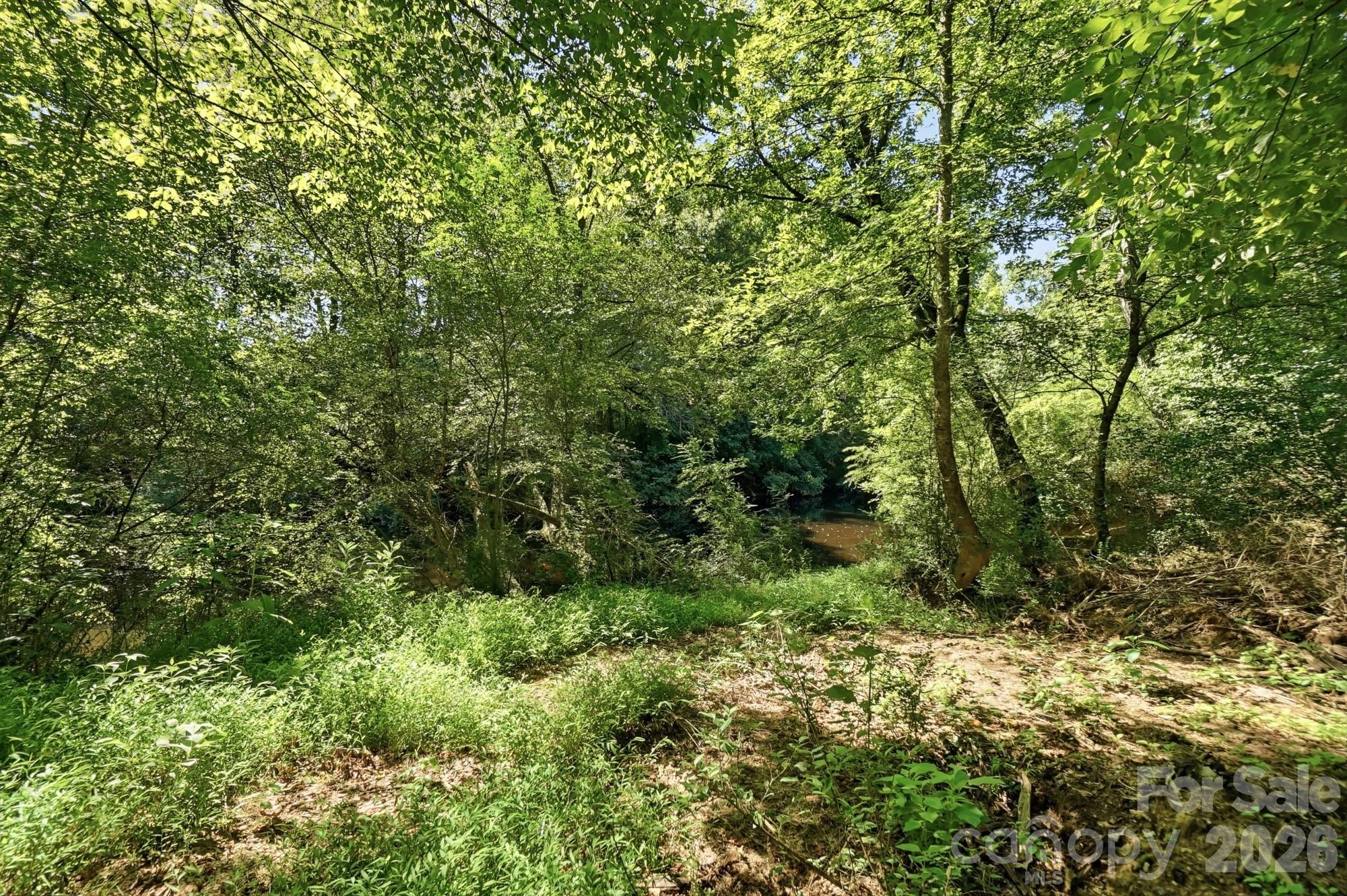 247 German Hill Road Property Photo 14