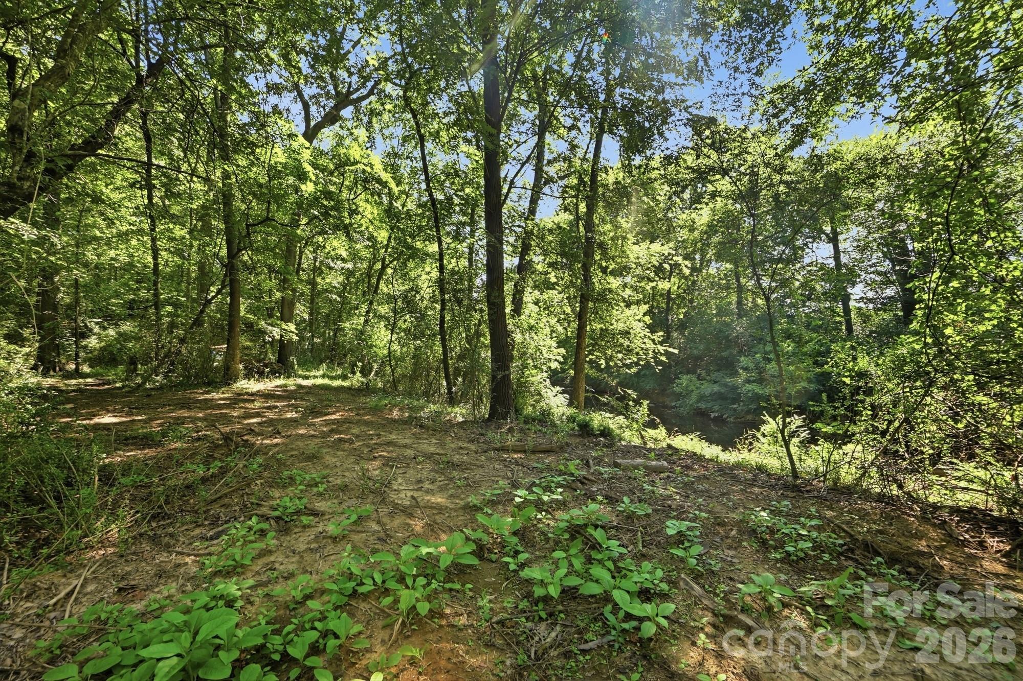 247 German Hill Road Property Photo 15