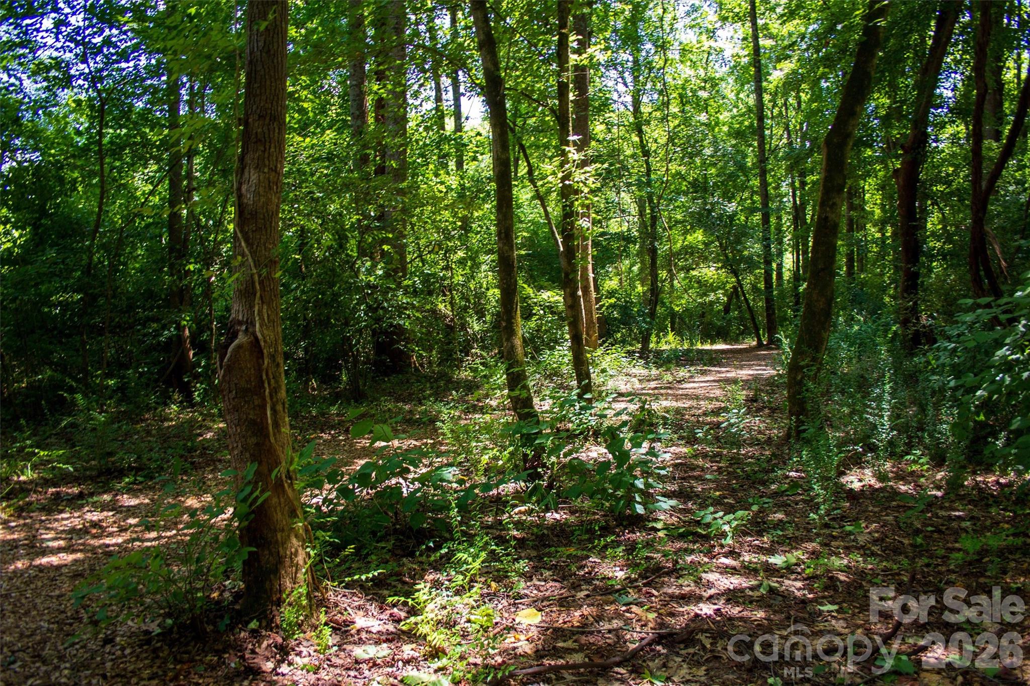 112 Homewood Lane Property Photo 11