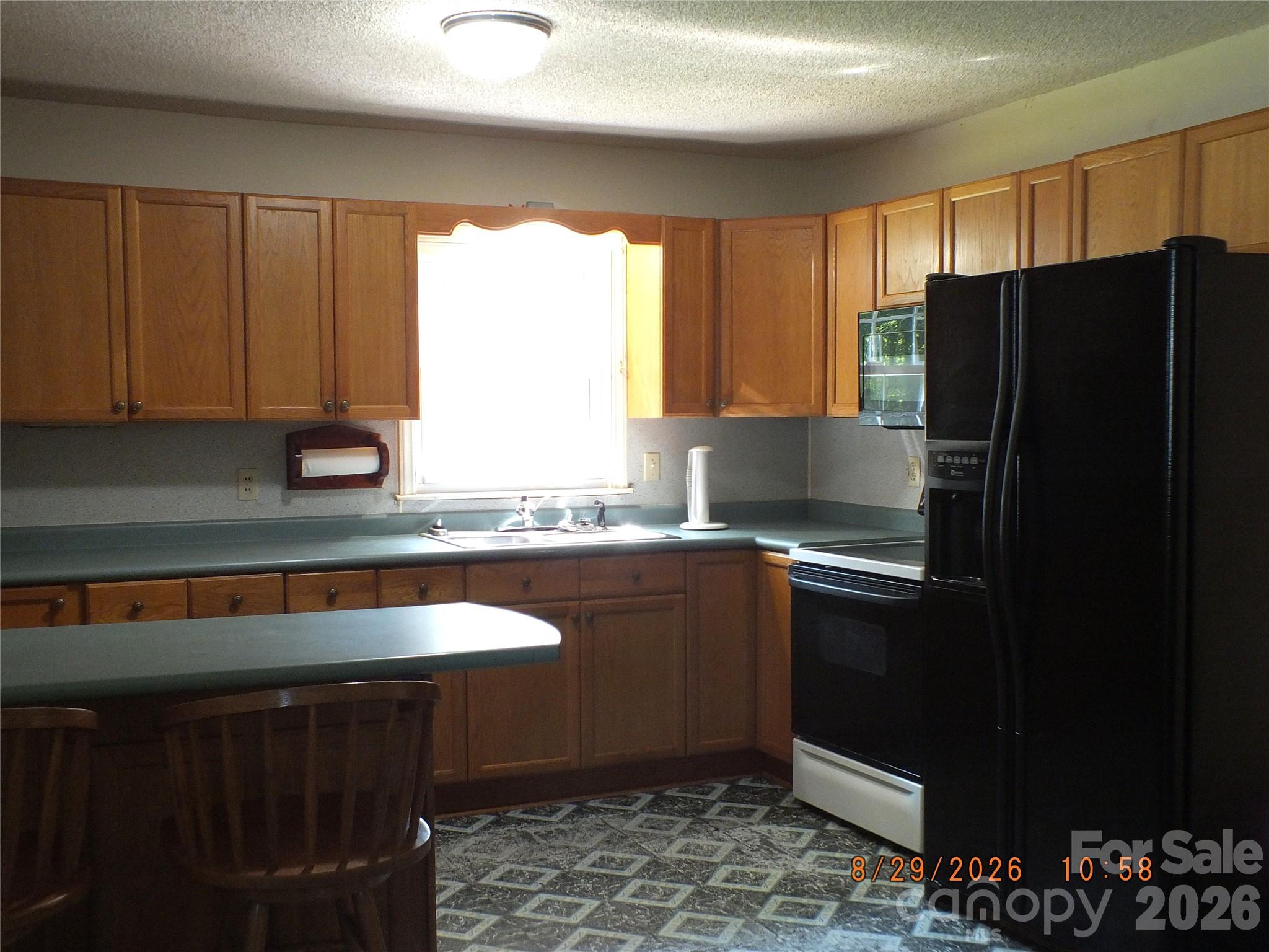 1532 Pinckney Road Property Photo 3