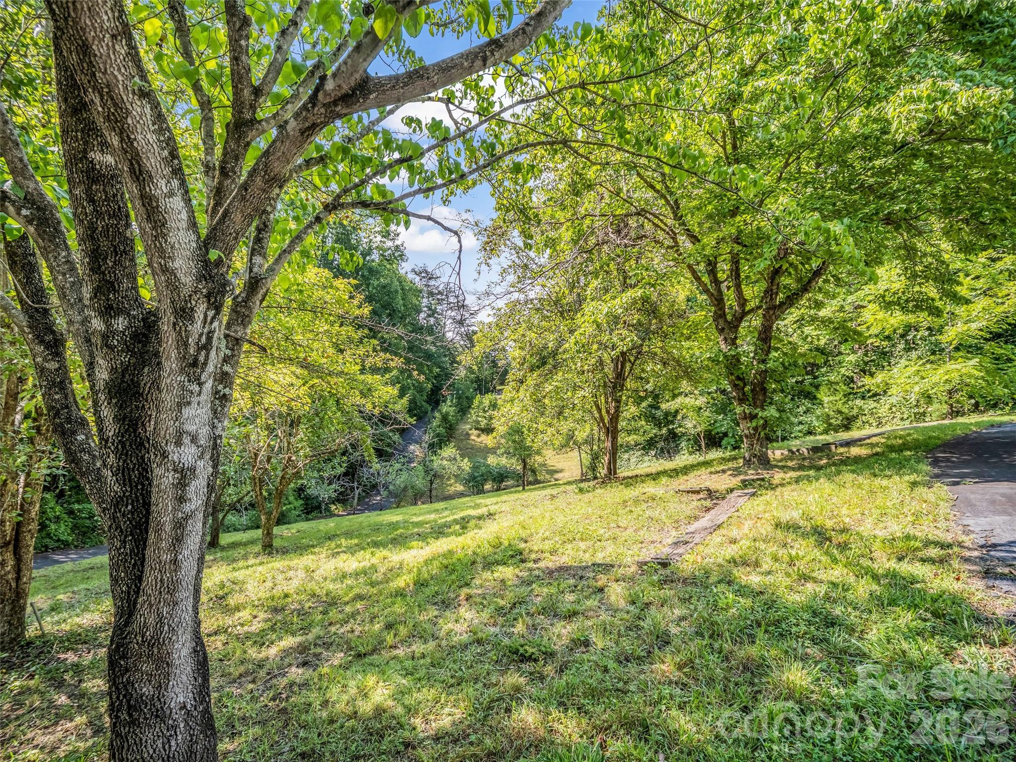 238 Howell Road Property Photo 4