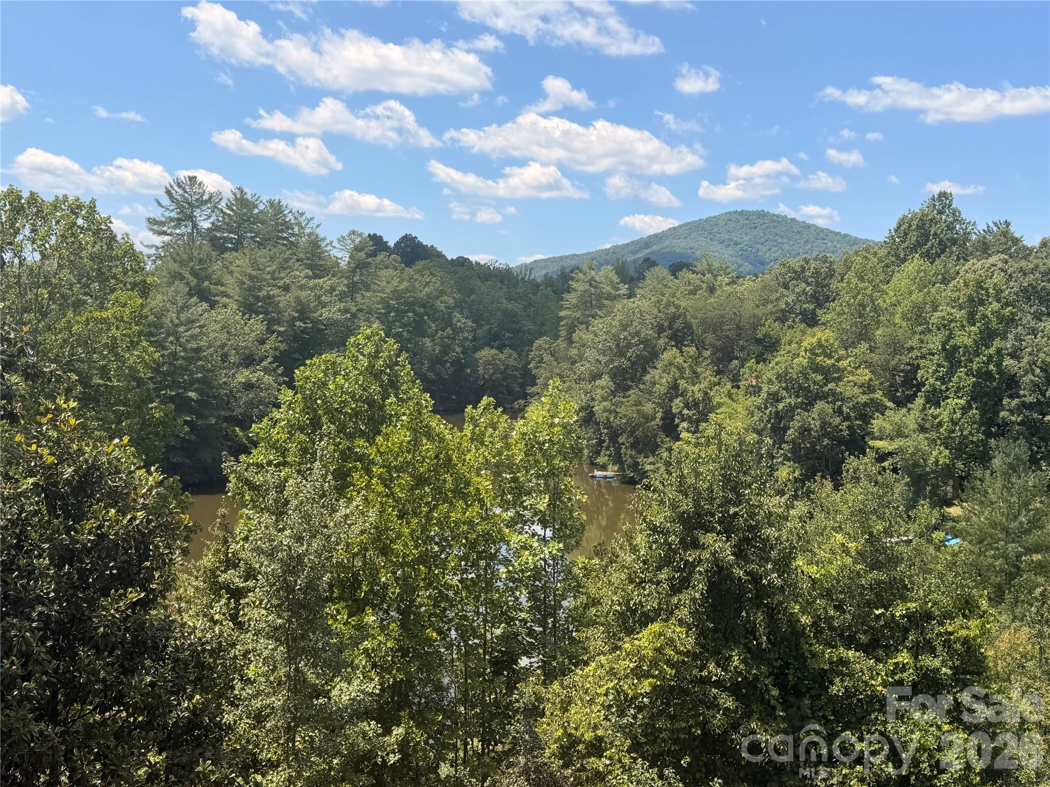 4991 Albert Williams Road Property Photo 1