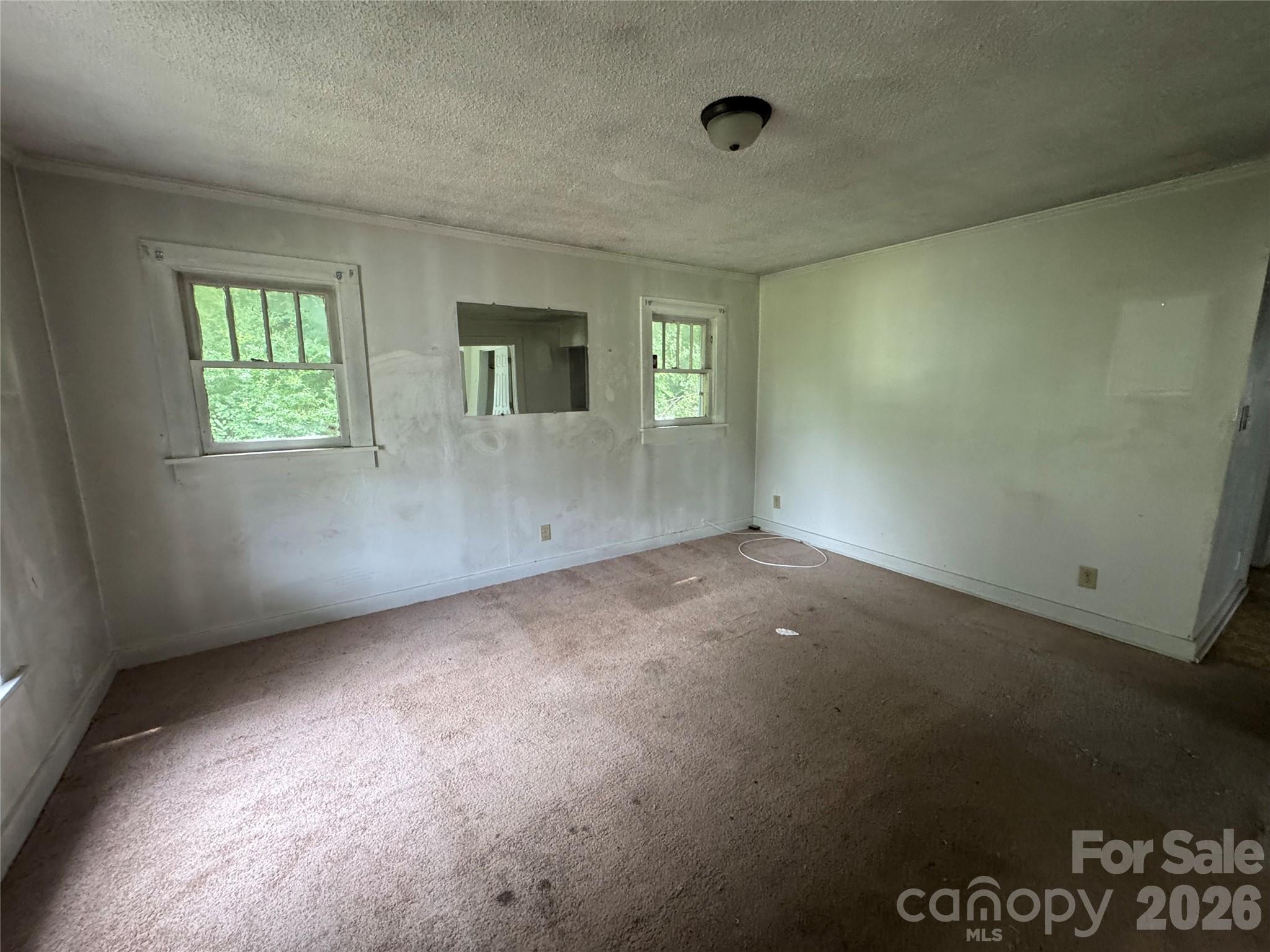 165 Stafford Drive Property Photo 5