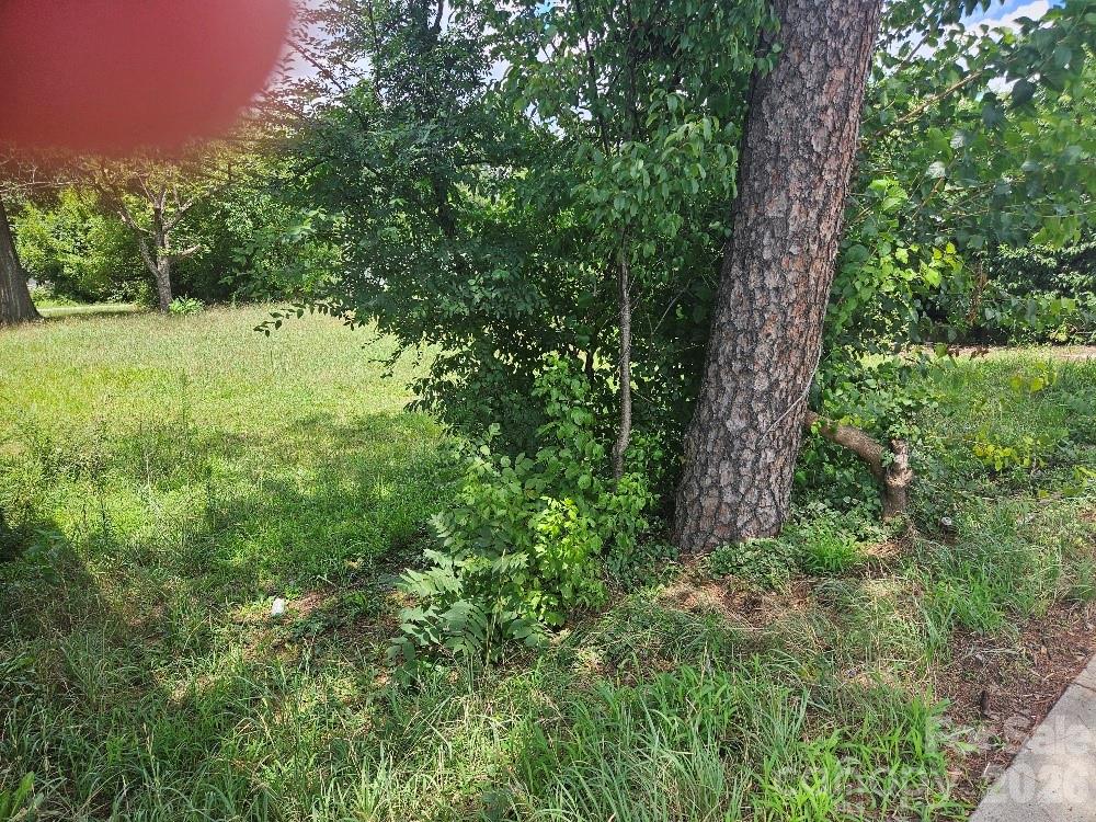 176 Cherry Road Property Photo 2