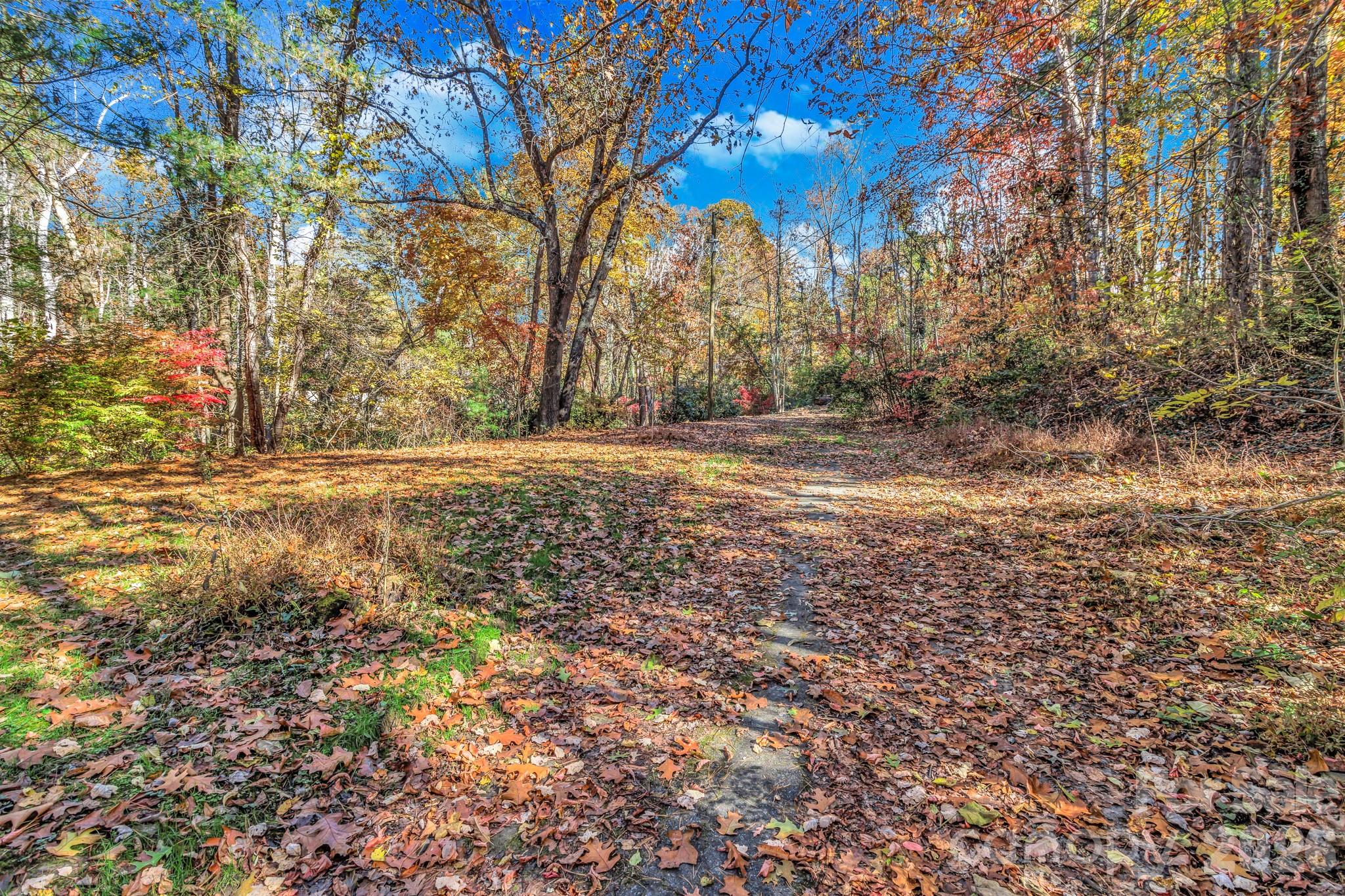 99999 Leisure Mountain Road Property Photo 2