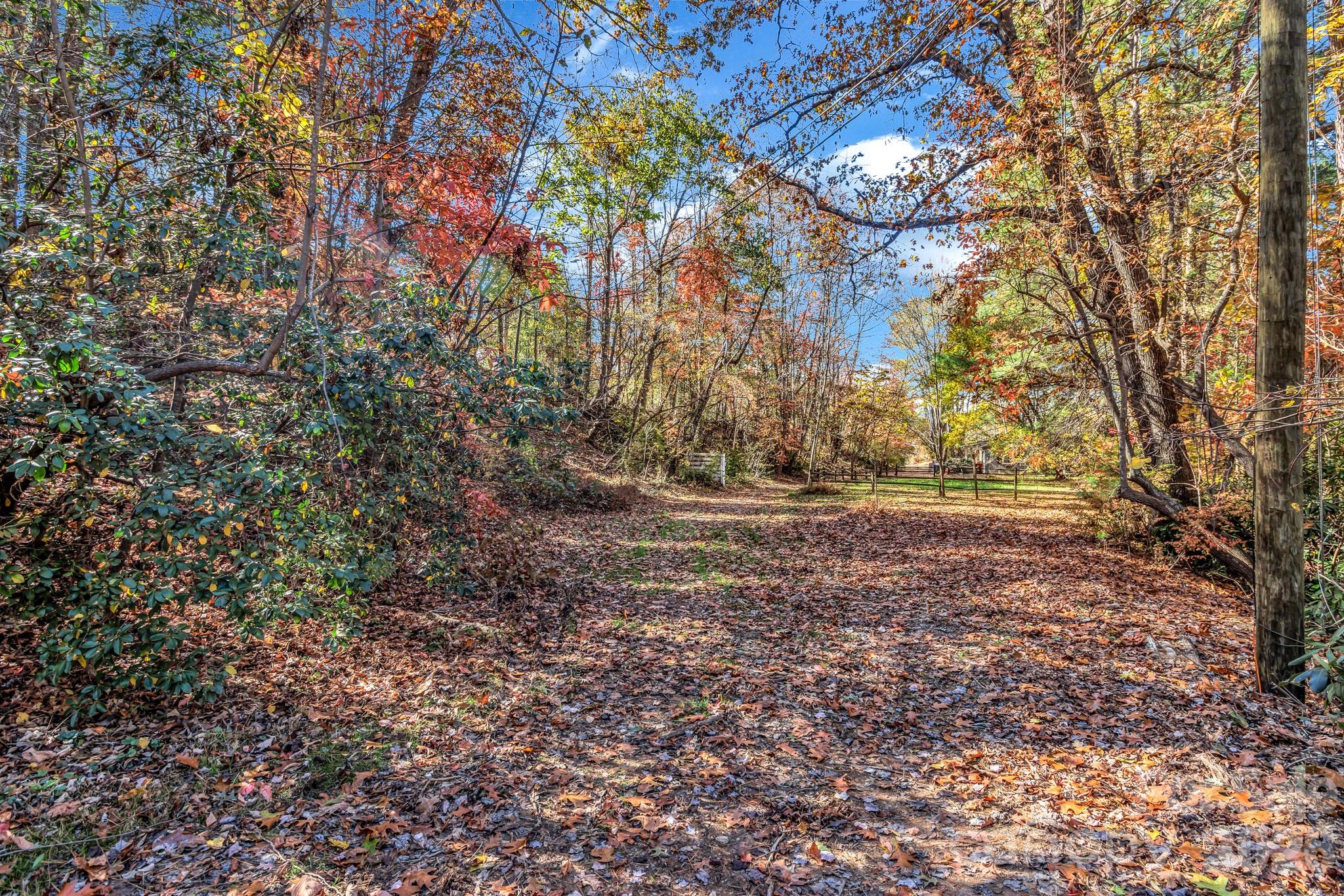 99999 Leisure Mountain Road Property Photo 3