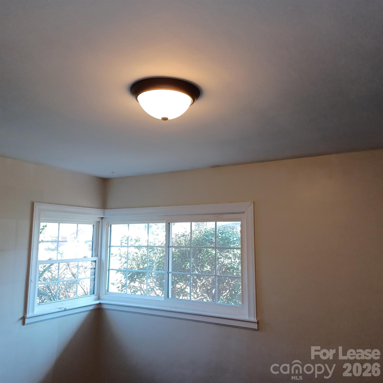 2504 Park Lane Property Photo 10