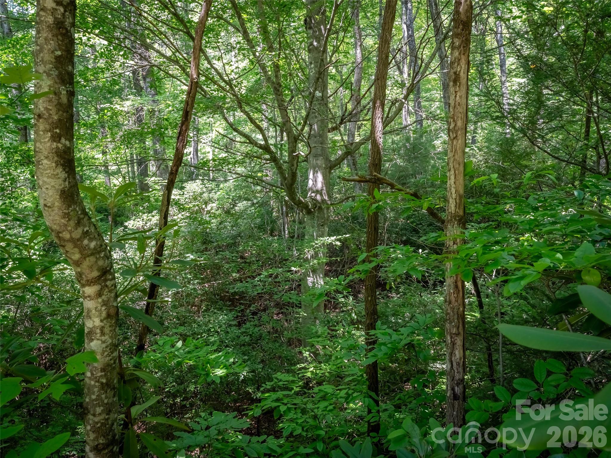 M11 Pine Mountain Trail Property Photo 4