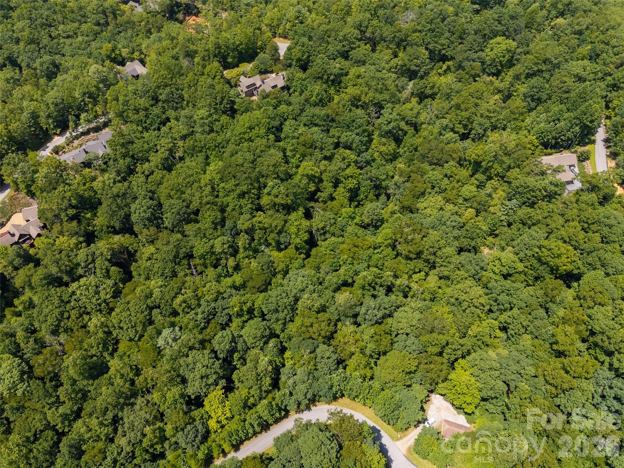 M11 Pine Mountain Trail Property Photo 11