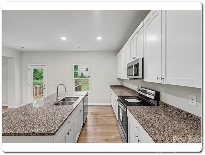 1345 Harvest Moon Way Property Photo 3