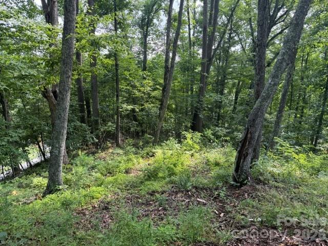 Lot 91 Apple Brandy Way Property Photo 9