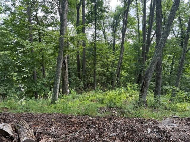 Lot 91 Apple Brandy Way Property Photo 10
