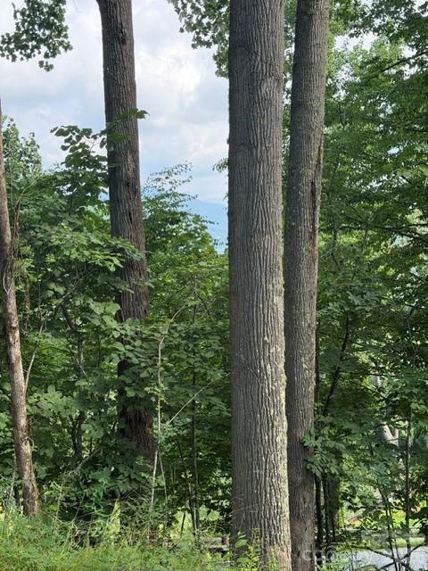 Lot 91 Apple Brandy Way Property Photo 11