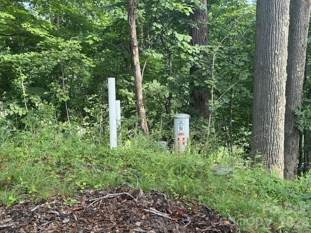 Lot 91 Apple Brandy Way Property Photo 12