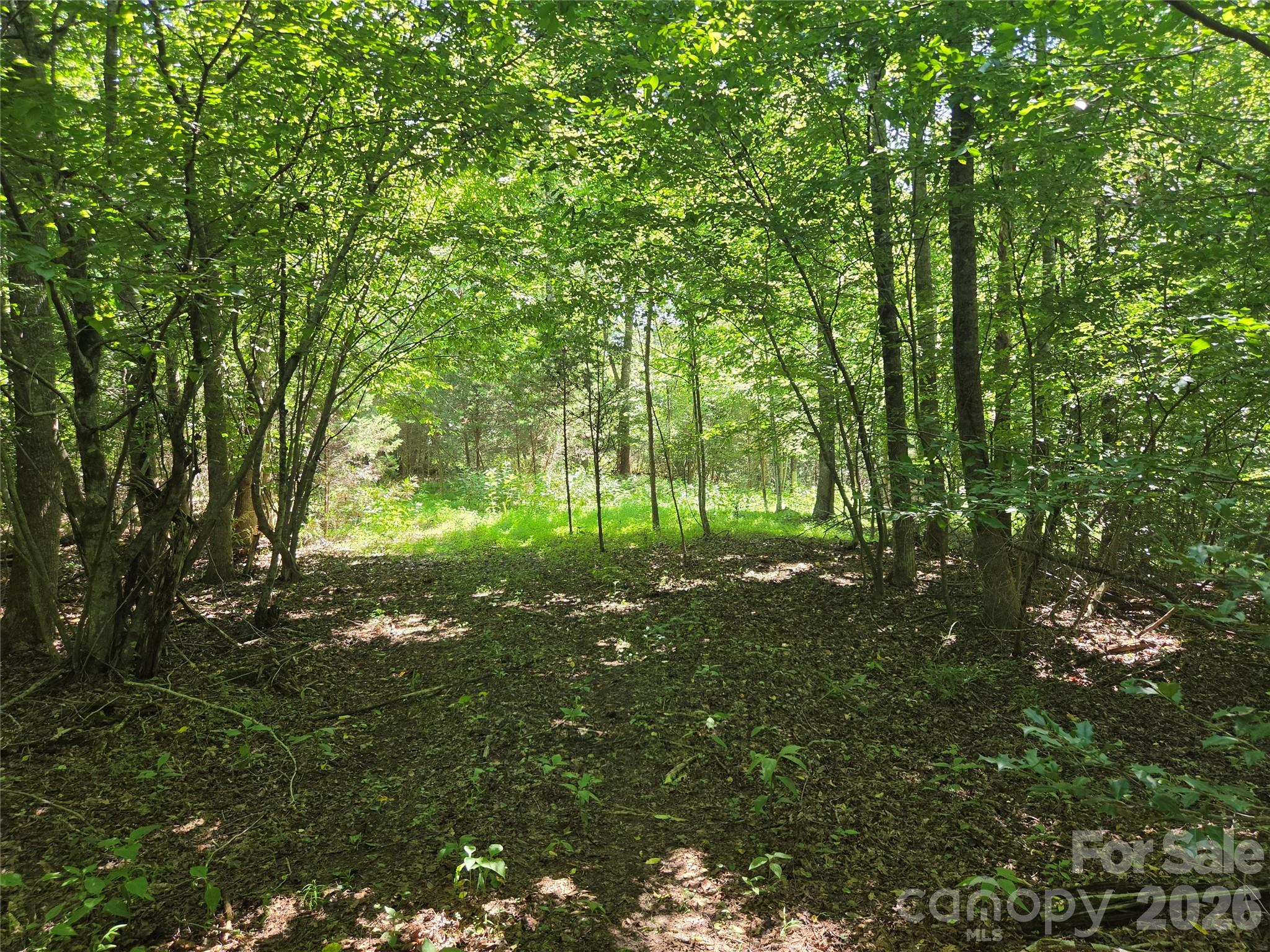 700 Nelson Lane Property Photo 3
