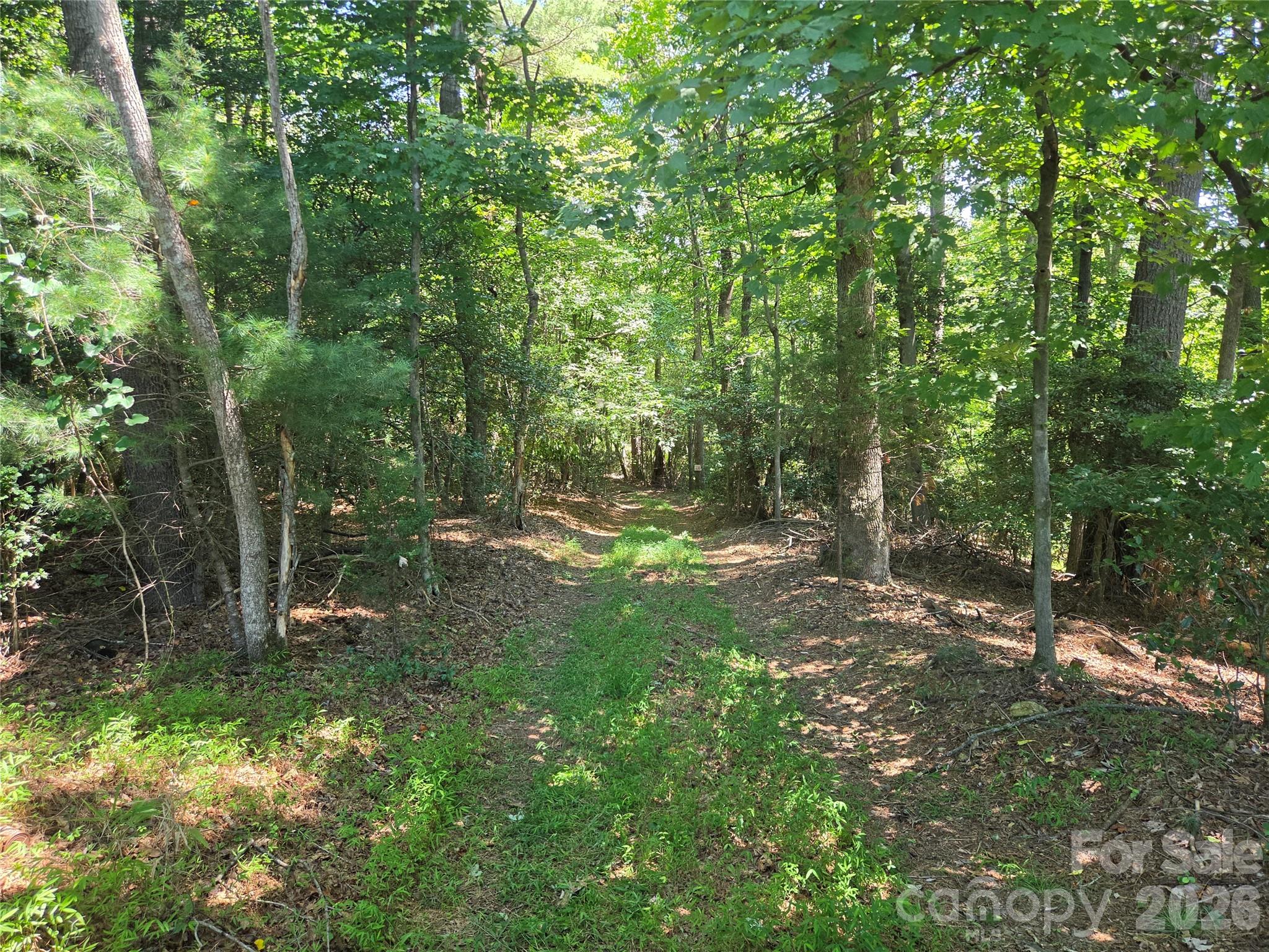 700 Nelson Lane Property Photo 7