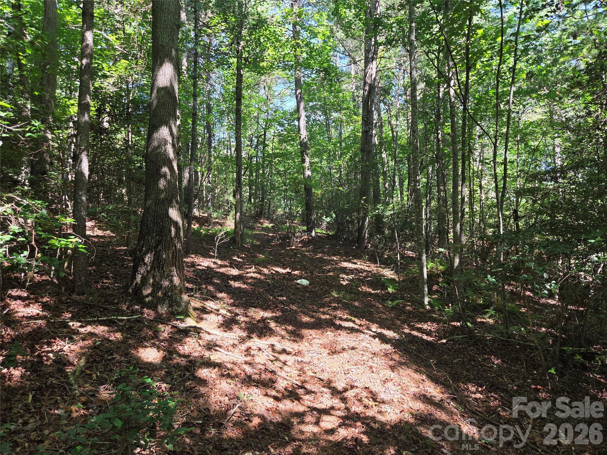 700 Nelson Lane Property Photo 21