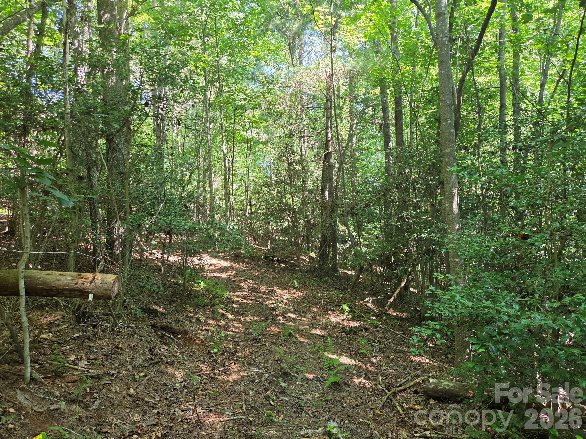 700 Nelson Lane Property Photo 22