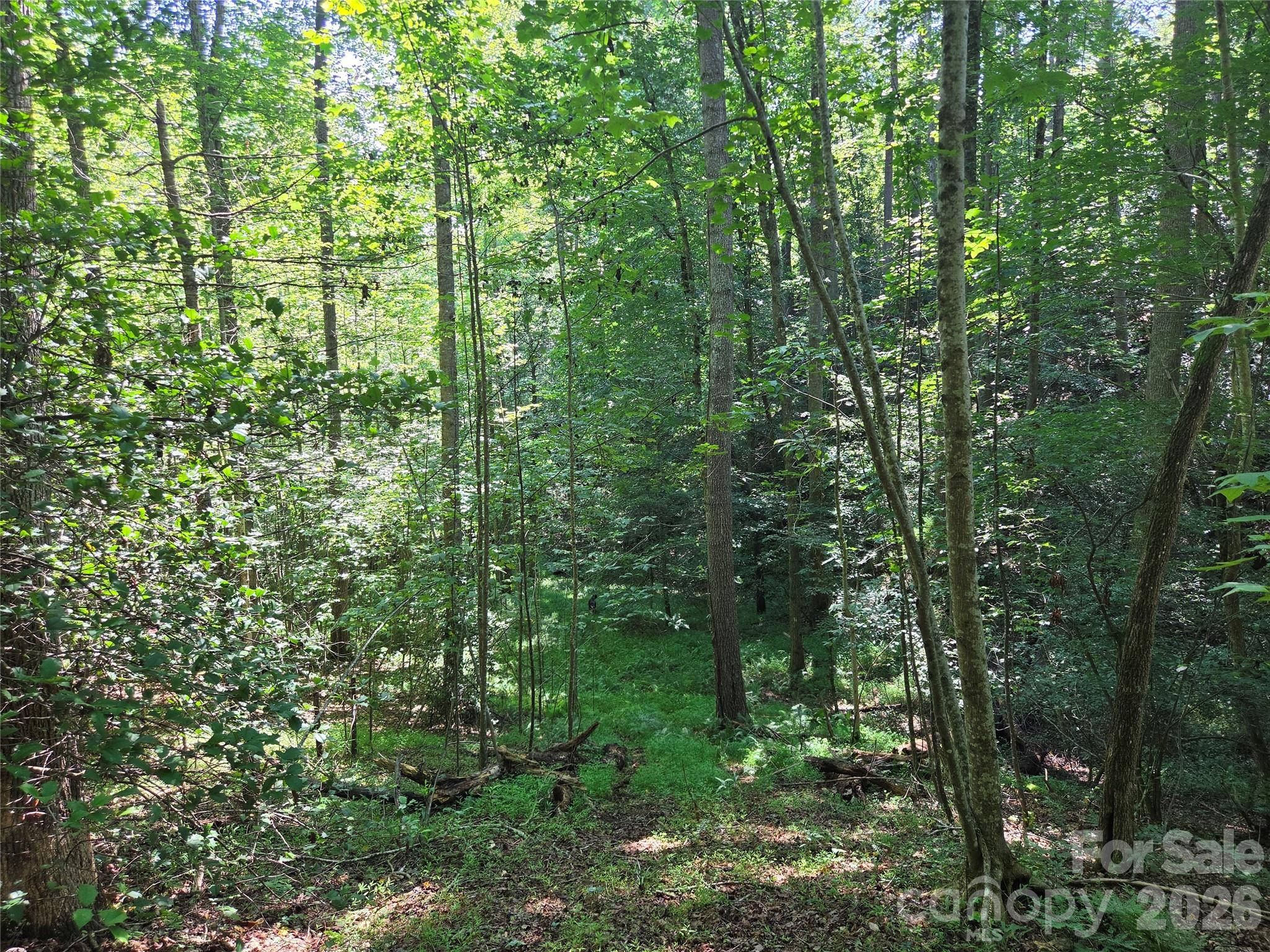 700 Nelson Lane Property Photo 25