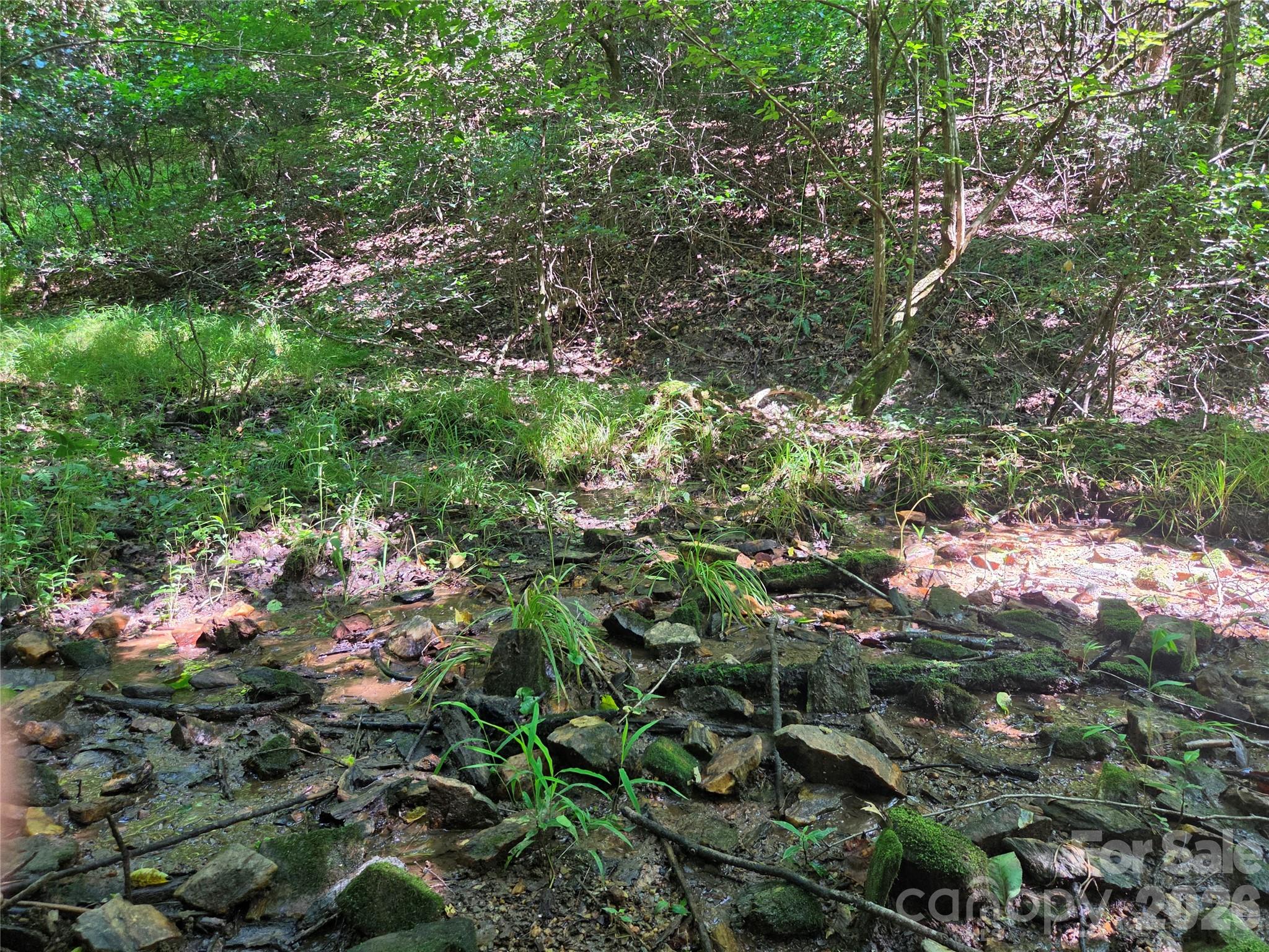 700 Nelson Lane Property Photo 26